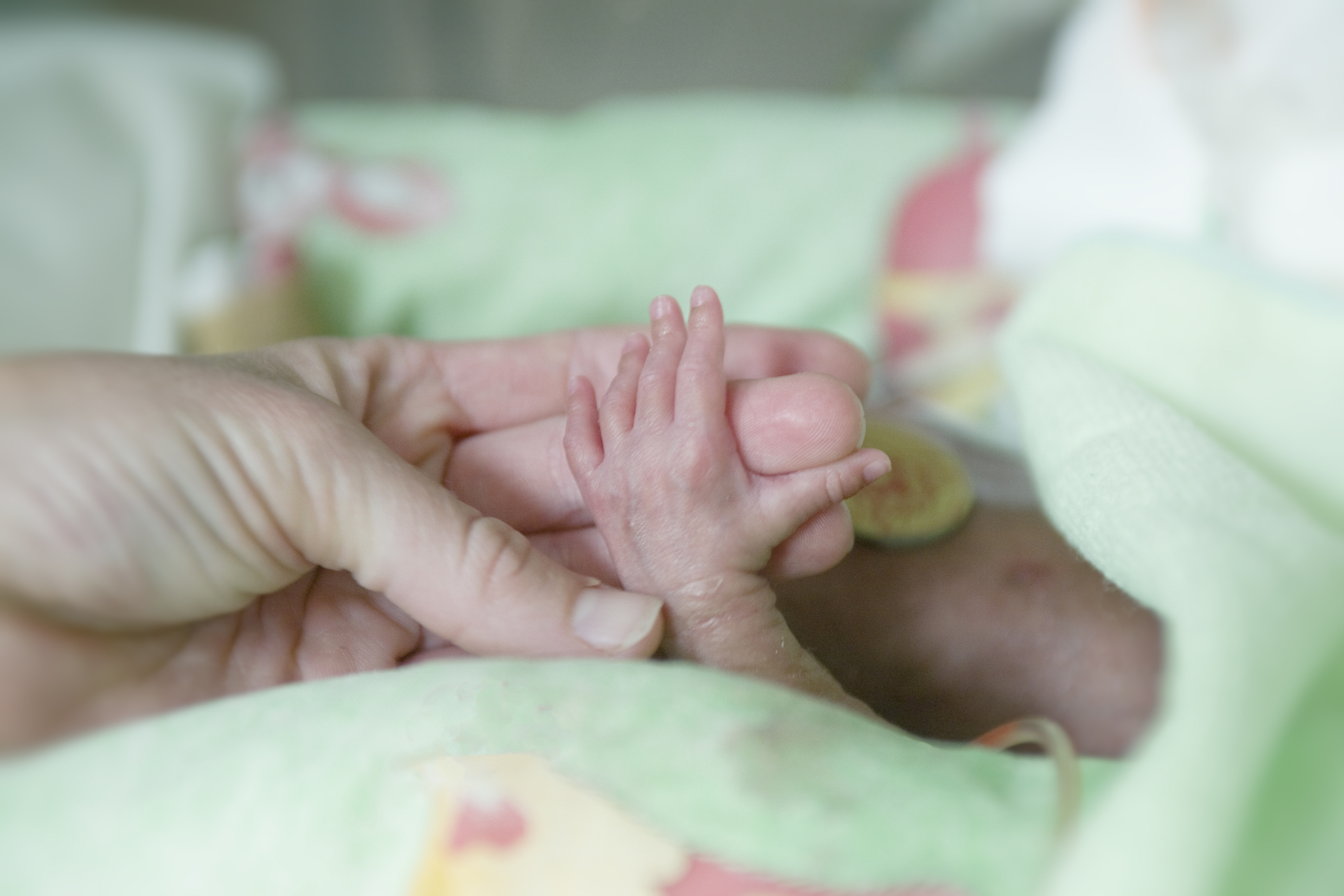 Navigating the NICU Journey: Emotional Support for Parents of Premature Infants